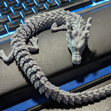 Picture of print of Articulated Dragon