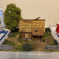 Picture of print of Northvakt - Tiny Civilian house