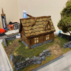 Picture of print of Northvakt - Tiny Civilian house