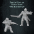 Dragoon Special Forces Strike Team image