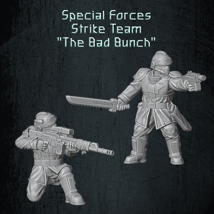 Dragoon Special Forces Strike Team's Cover