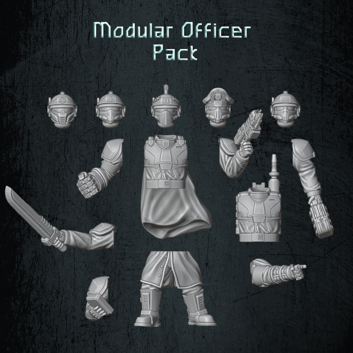Dragoon Modular Officers Pack's Cover