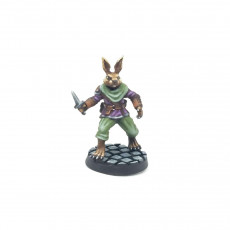 Picture of print of Rabbit Fighter [PRE-SUPPORTED]