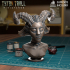 Faun Bust [Pre-Supported] image