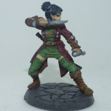 Picture of print of (0061) Female human elf tiefling thief assassin with knives