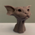 Goblin Cat image