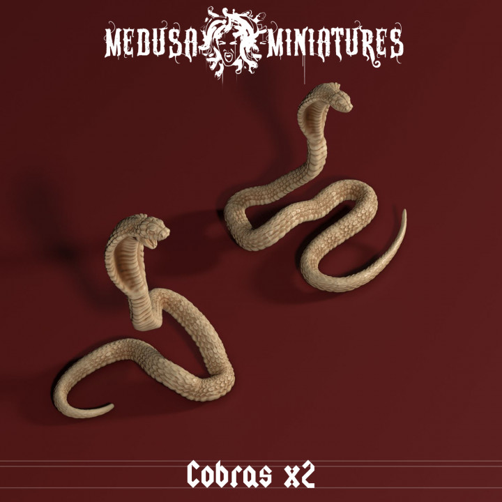$3.00Cult of the Cobra - Cobras x2