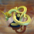 Torus knot dragon and pearl image