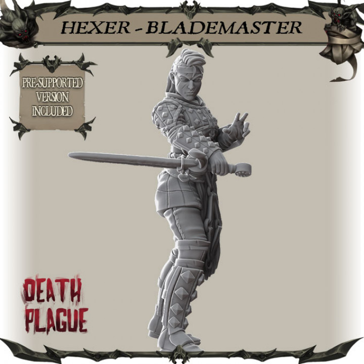 $4.99Hexer Blademaster
