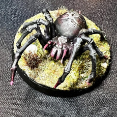 Picture of print of GIANT SPIDERS PACK