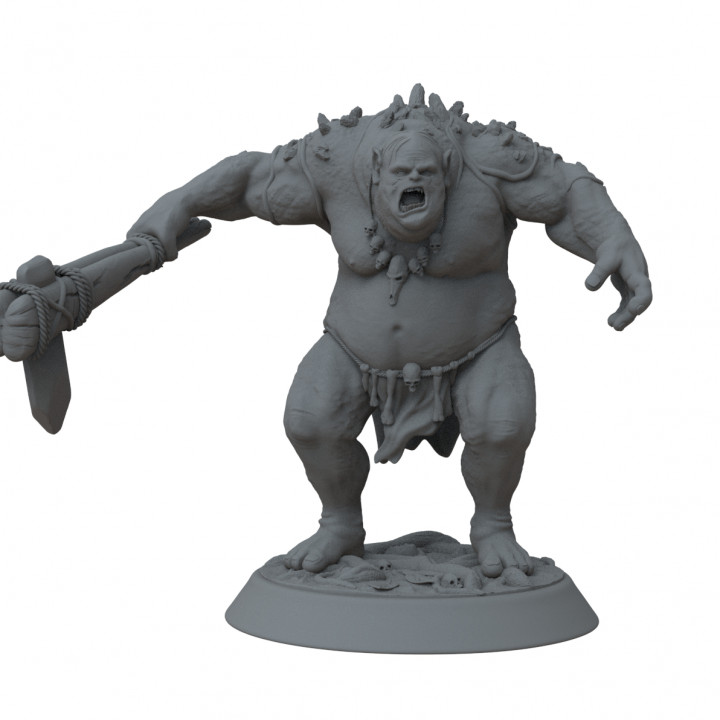 Troll Miniature - Welcome Pack's Cover