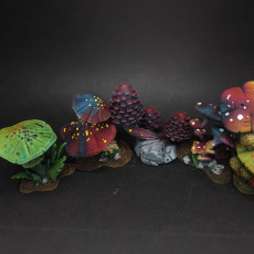 Picture of print of Fungi Terrain Set (Pre-Supported)