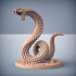 Nagarot Crawlers - 4 Modulars Units + Giant Snakes (Maneater Nagarots) image