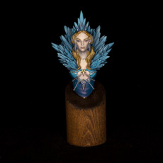 Picture of print of Helga the Frost Witch bust pre-supported