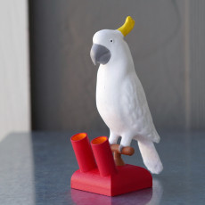 Picture of print of Cockatoo pen holder