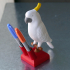 Cockatoo pen holder print image