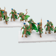 Picture of print of High elves Grey Watchers