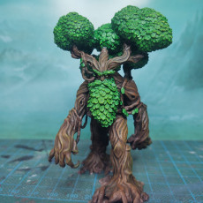Picture of print of Heartwood Treant