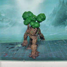 Picture of print of Heartwood Treant