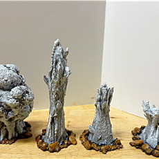 Picture of print of Geysers (Set of 4)