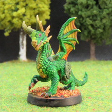Picture of print of Forest Dragon Wyrmling