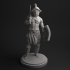 Murmillo gladiator image