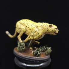 Picture of print of Cheetah running