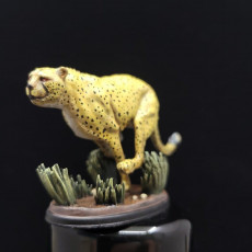 Picture of print of Cheetah running