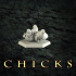Chicks image