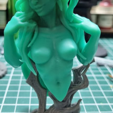 Picture of print of (Bust) Dawn, Lady of Shadows (2 Versions)
