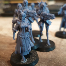 Picture of print of Space nun librarian