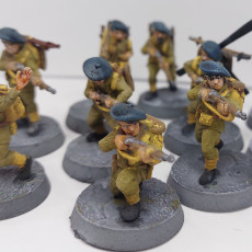 Picture of print of Chasseurs alpins français - 28mm for wargame