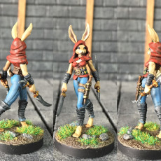 Picture of print of Sofia - Female Rabbitfolk - November release rogues