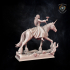 Damsel on Equitan Unicorn image