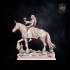 Damsel on Equitan Unicorn image