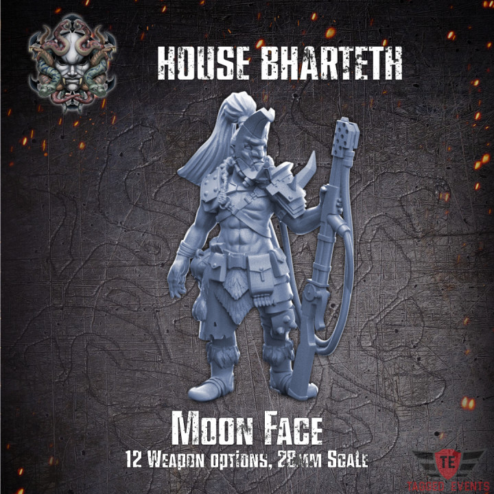 House Bharteth - Moon Face's Cover
