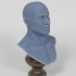 Male Academic Bust, presupported image