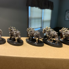 Picture of print of Dire Wolves (pre supported)