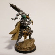 Picture of print of Death Knights Mor-Zhal Champion