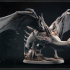 Diablo Dragon image
