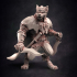 Pirate Gnoll Scoundrel 2 image