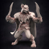 Pirate Gnoll Scoundrel 3 image