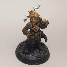 Picture of print of Baltar the Halfling  - November release rogues