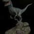 Dinosaur - Velociraptor image