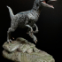 Dinosaur - Velociraptor image