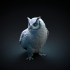 Spotted eagle owl image