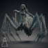 Arian - Spider Queen image