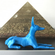 Picture of print of Egyptian Anubis dog statue