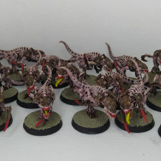 Picture of print of Bug Warriors Pack