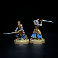 Picture of print of Elven Twins - Ellidon and Elliran - Presupported